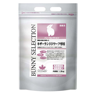 【イースター】バニーセレクション ネザーランドドワーフ １．３kg