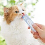 Ｓｉｐｐｏｌｅ　にゃろみ　Ｌ８０２０（オーラルケア）｜ 猫用おやつ